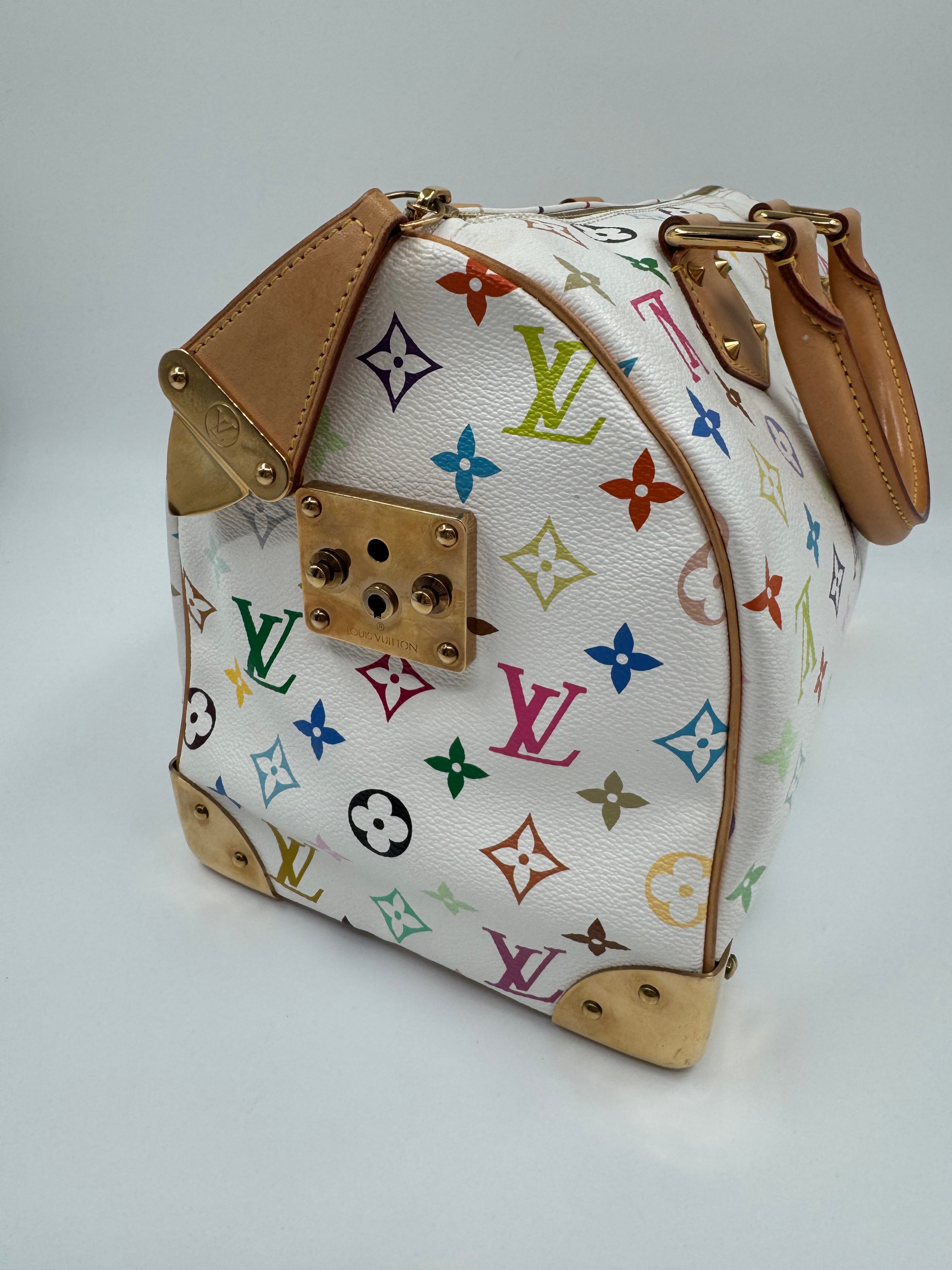 Louis Vuitton Speedy 30 Multicolor Takashi Murakami