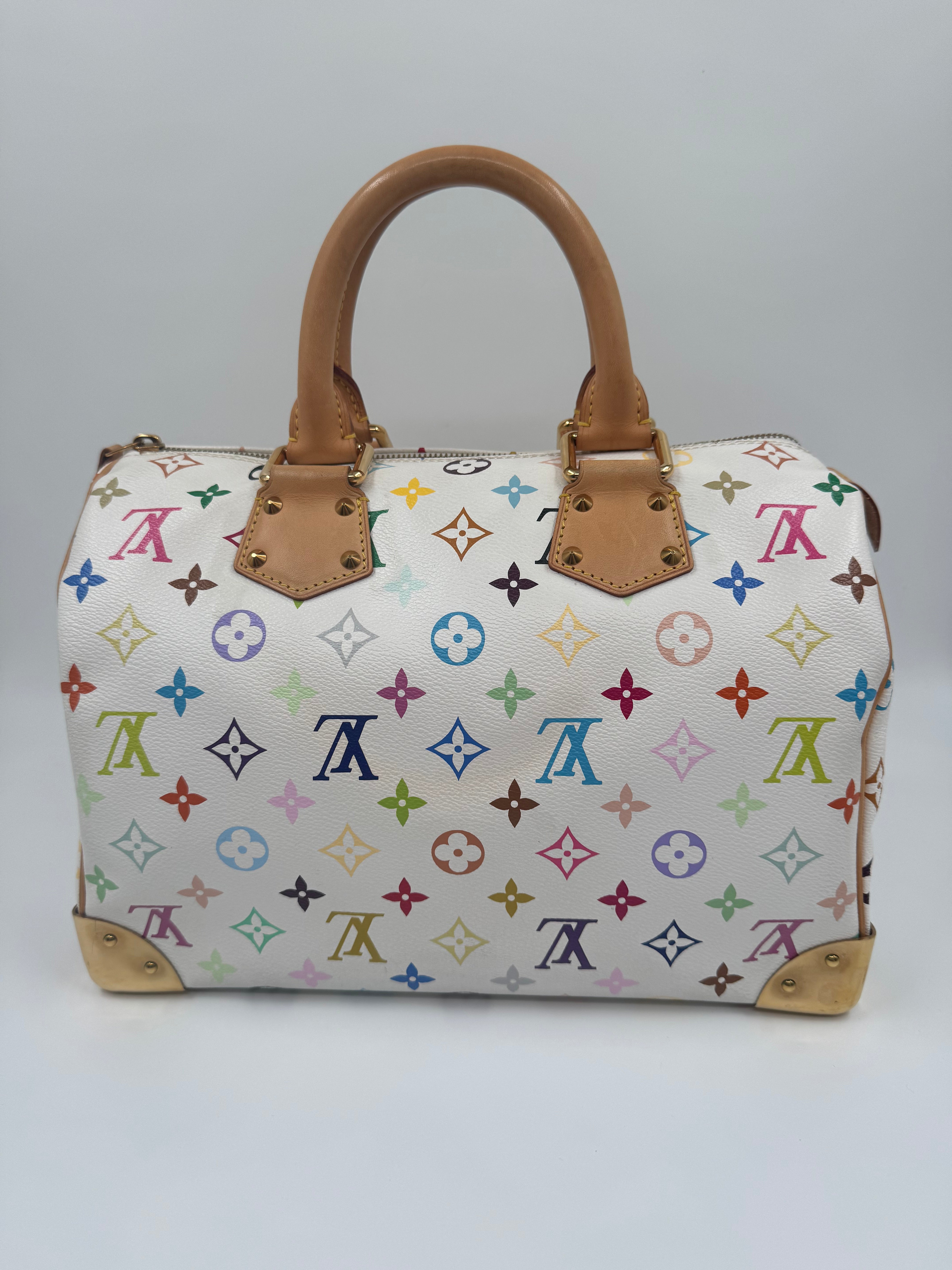 Louis Vuitton Speedy 30 Multicolor Takashi Murakami
