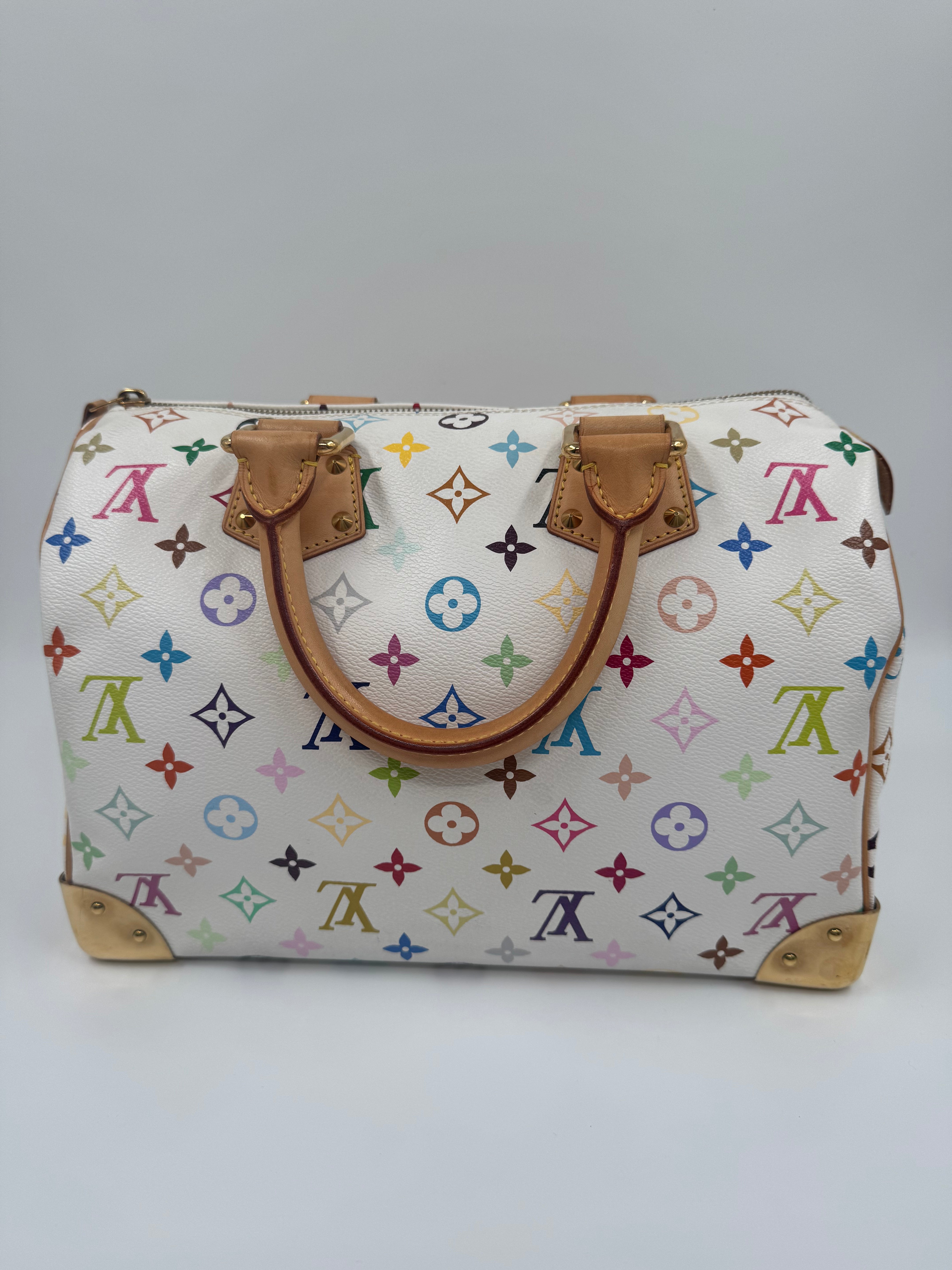 Louis Vuitton Speedy 30 Multicolor Takashi Murakami
