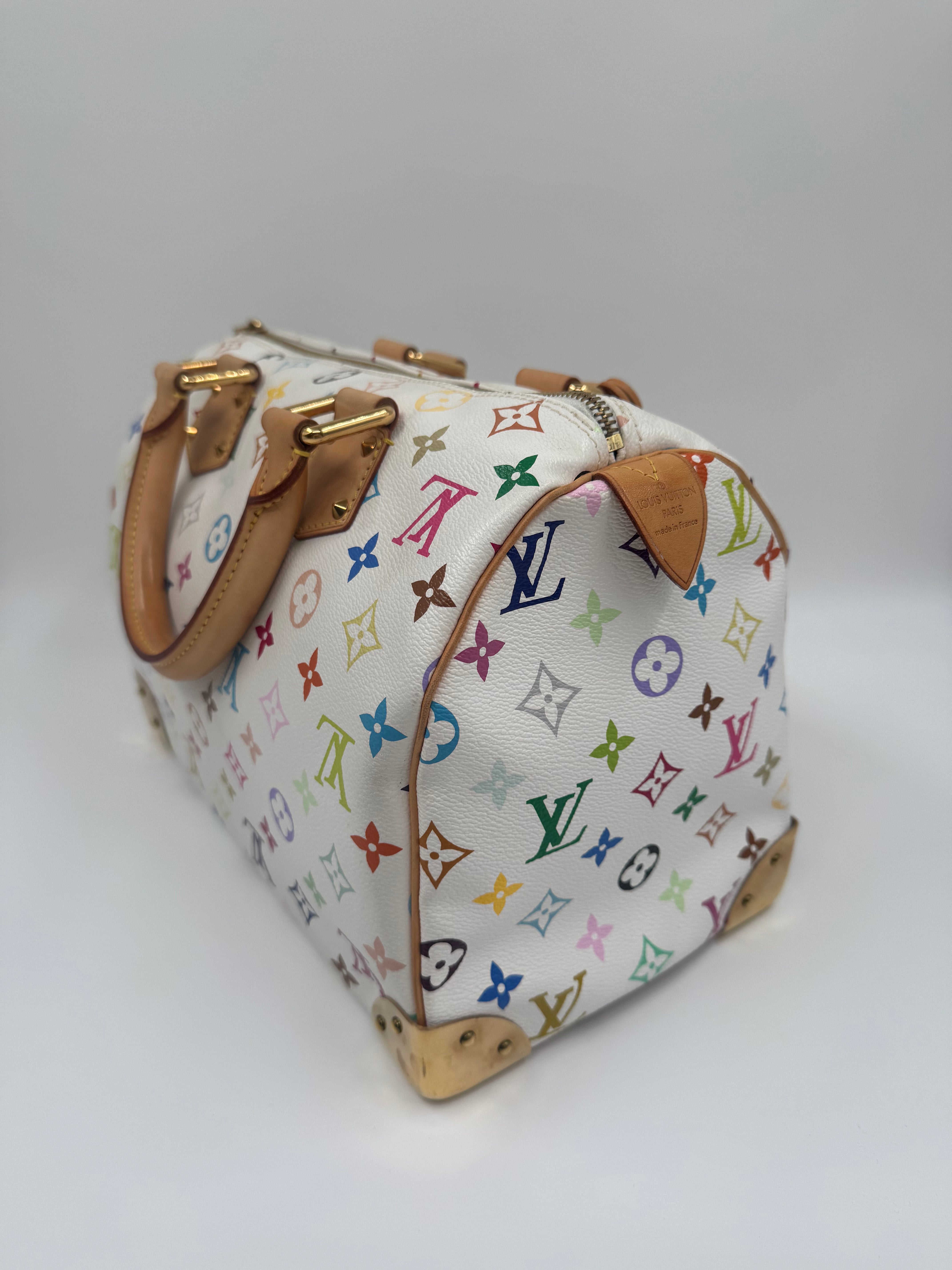 Louis Vuitton Speedy 30 Multicolor Takashi Murakami