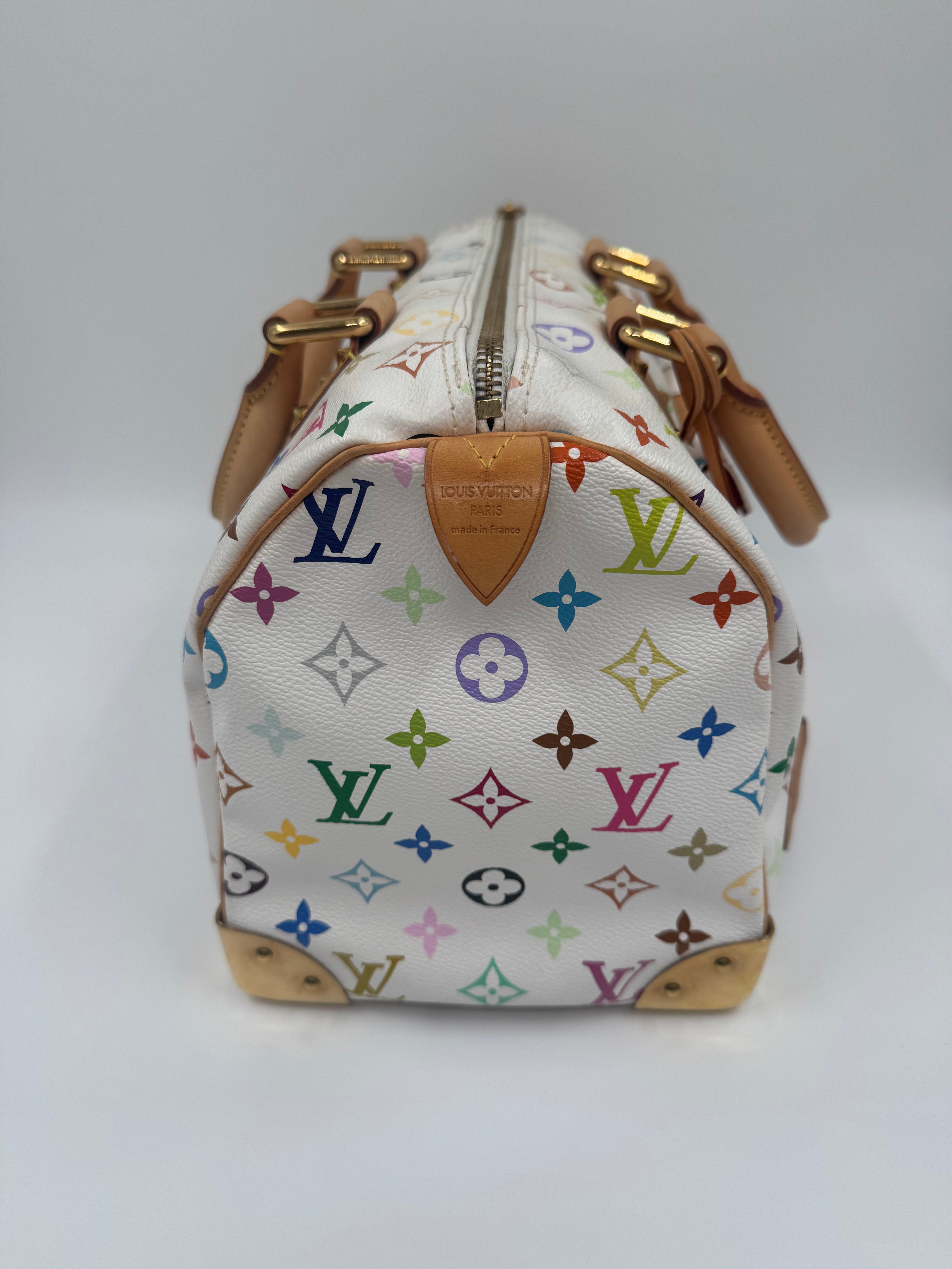 Louis Vuitton Speedy 30 Multicolor Takashi Murakami