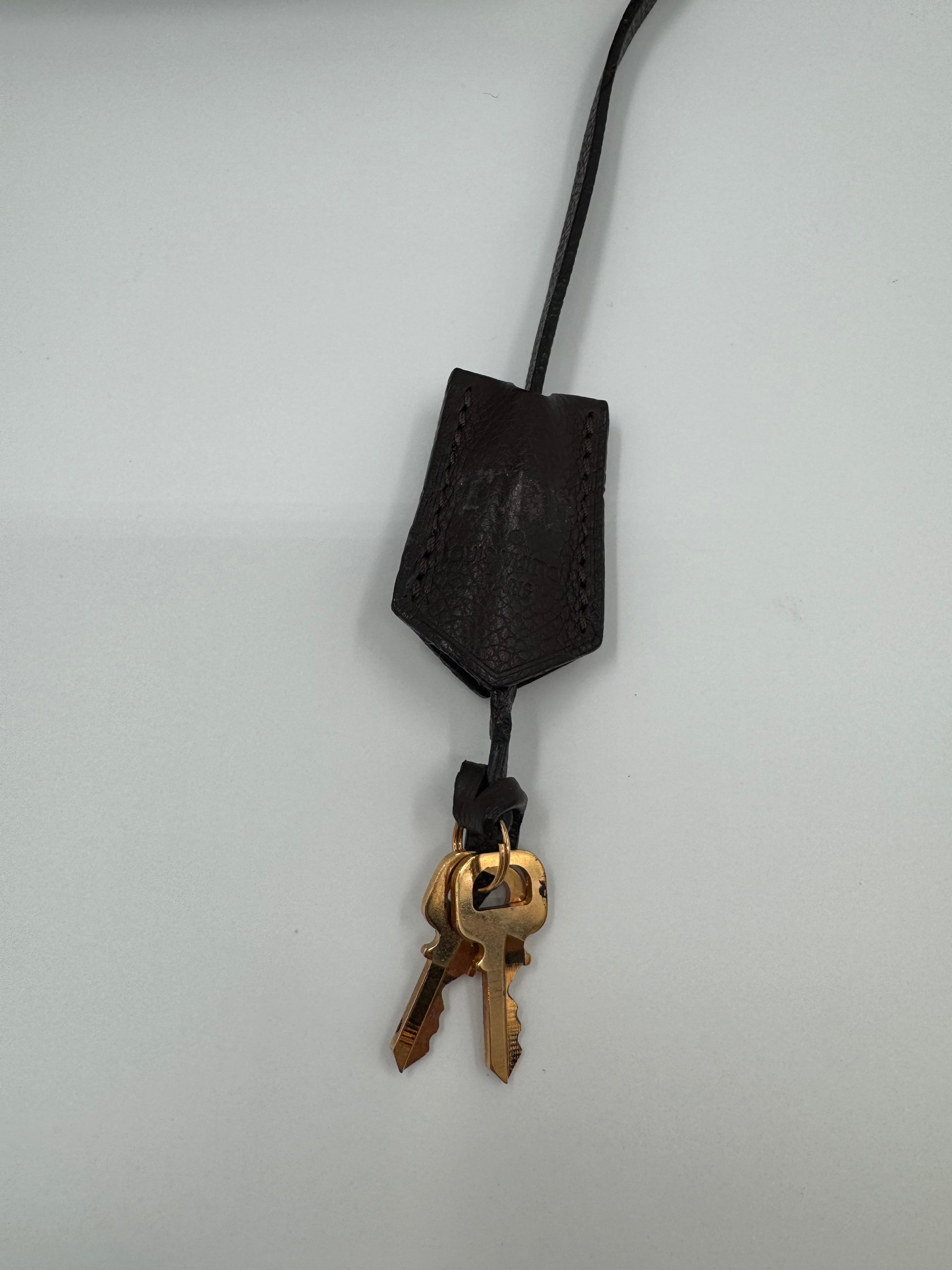 Louis Vuitton Audacieuse PM