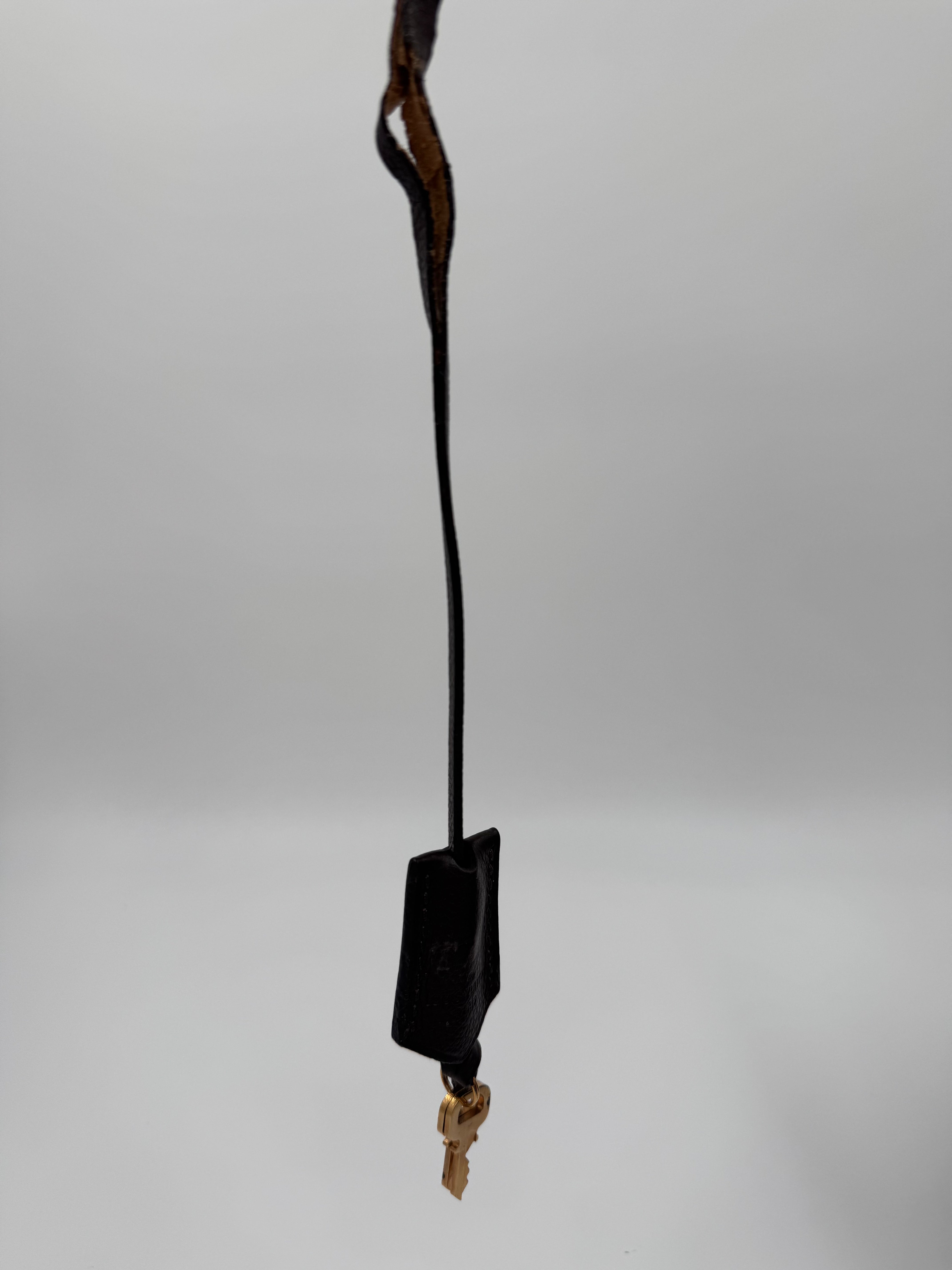 Louis Vuitton Audacieuse PM