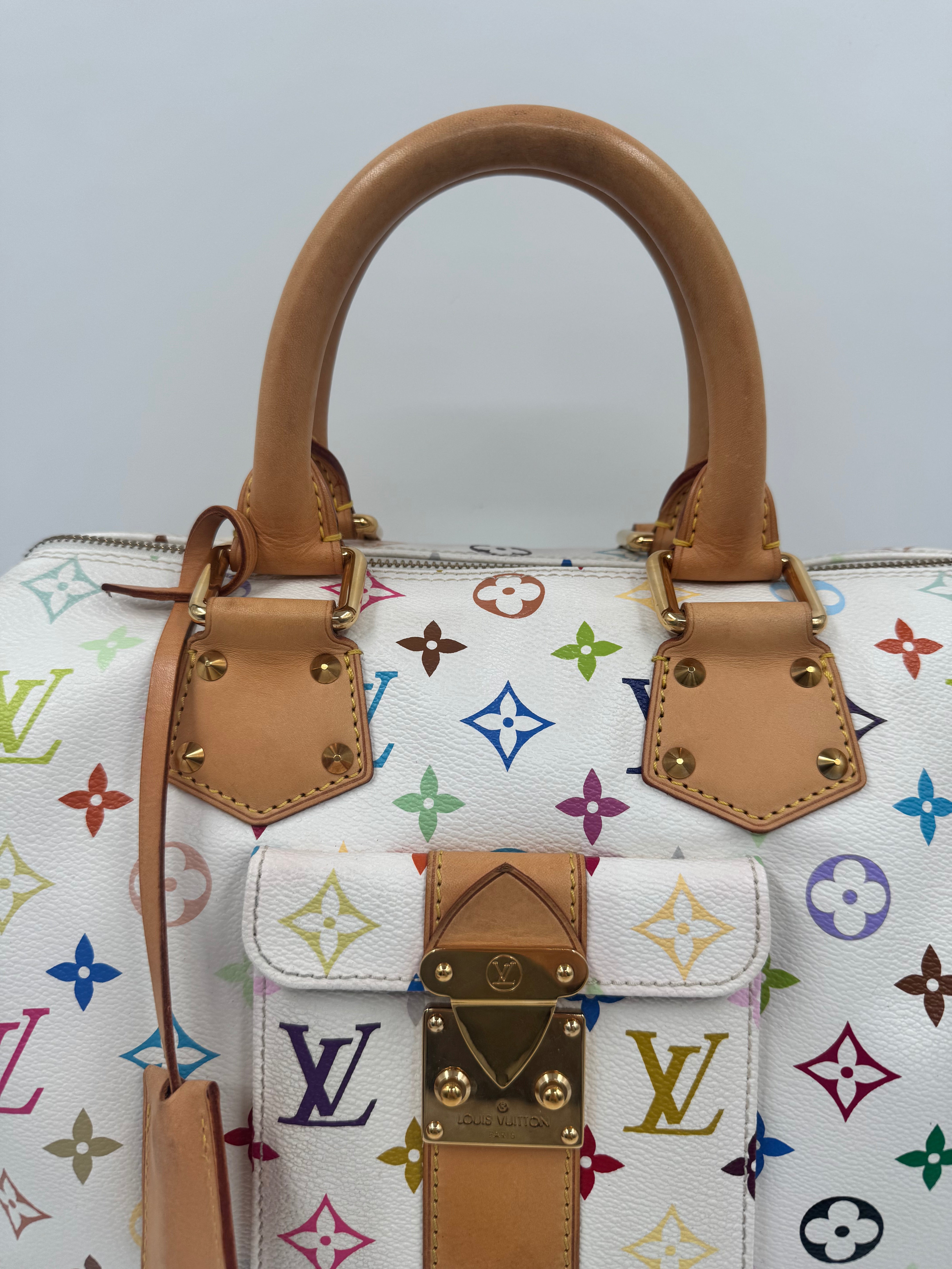 Louis Vuitton Speedy 30 Multicolor Takashi Murakami