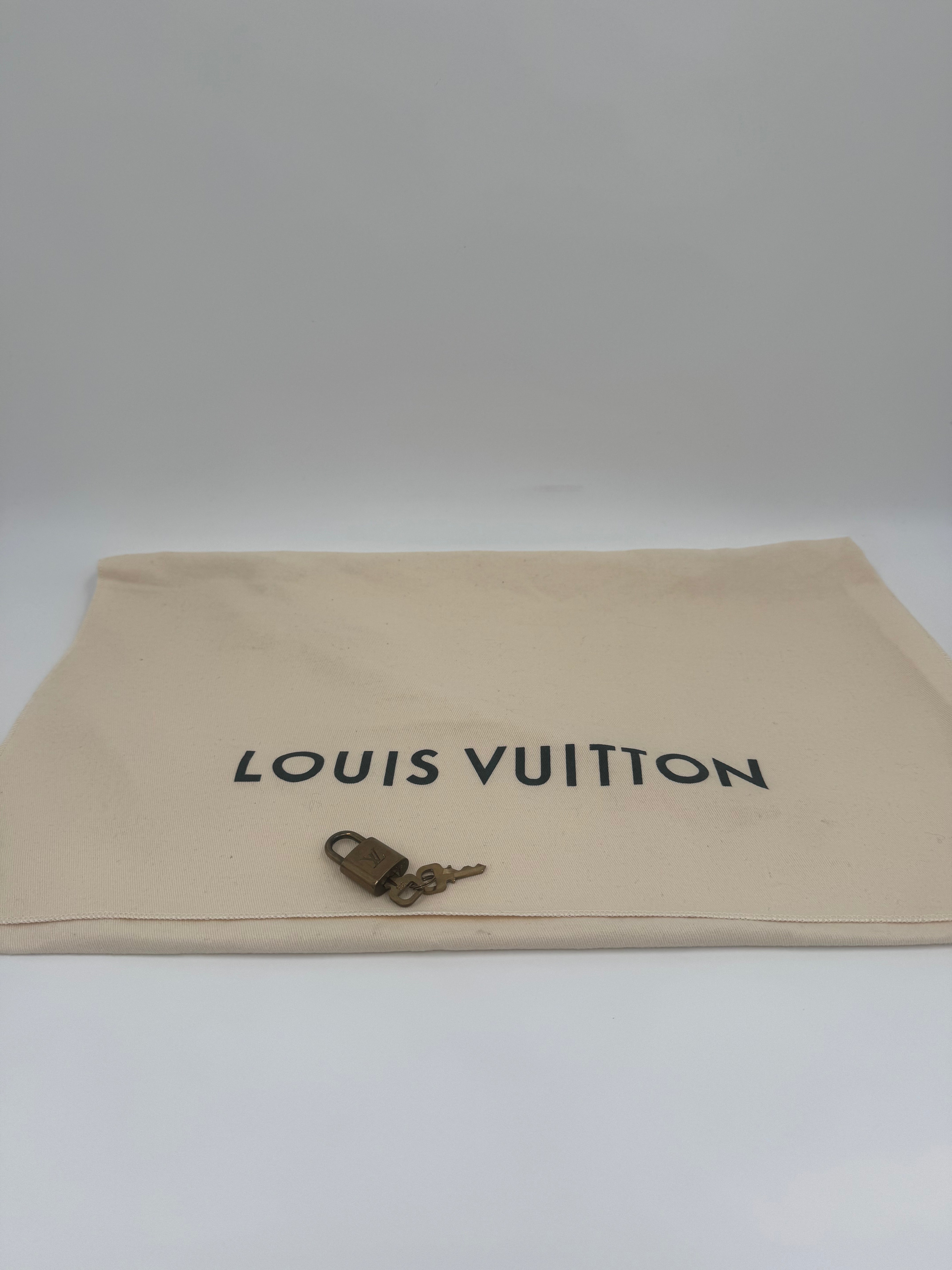 Louis Vuitton Speedy 30 Monogram