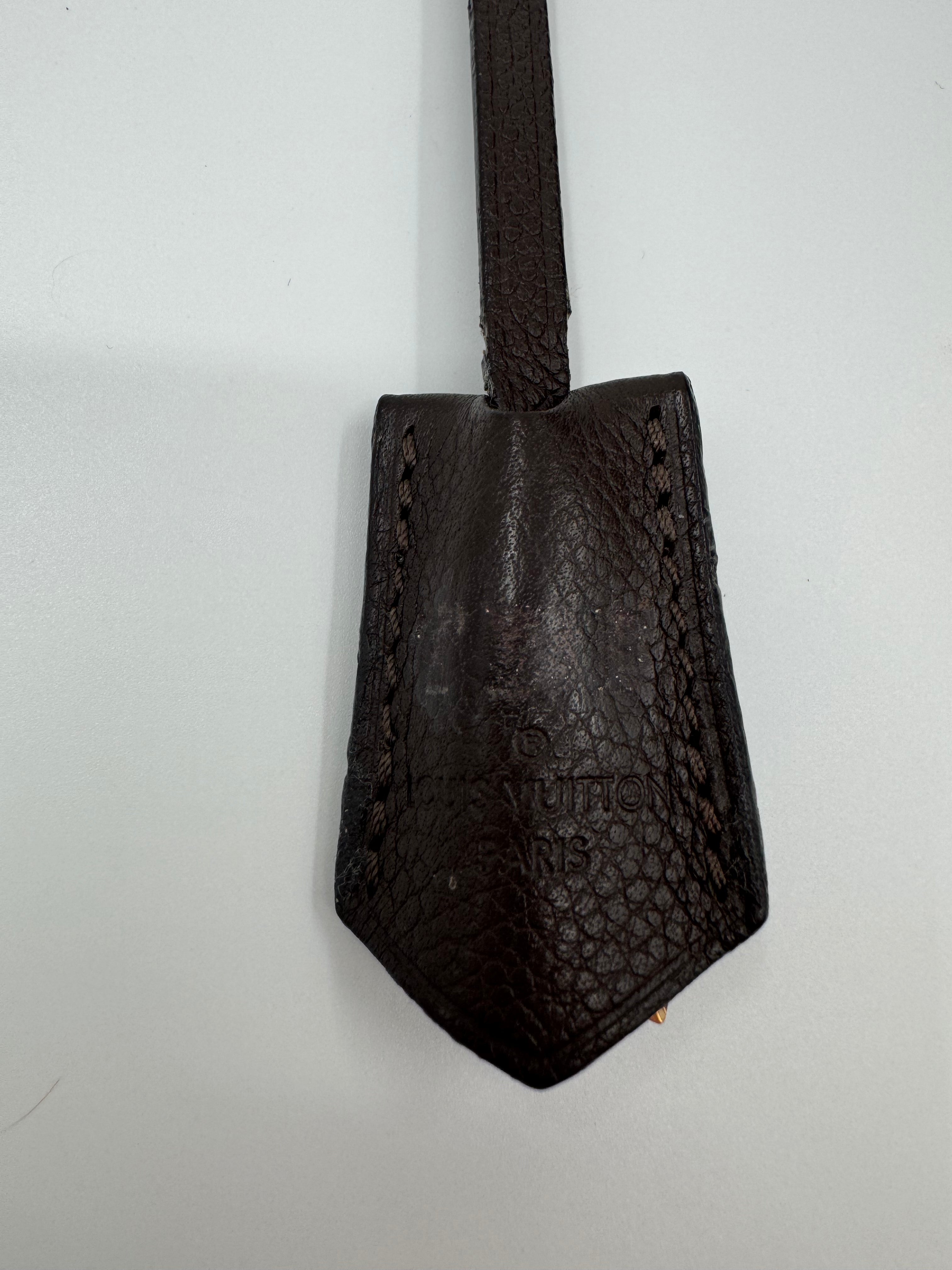 Louis Vuitton Audacieuse PM